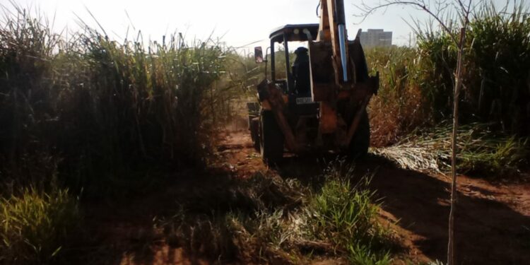 Limpeza da APP Vila Verde: primeira das oito a serem beneficiadas com o plantio - Foto: Divulgação/Prefeitura de Hortolândia