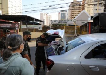 Mobilização do dia 28 contará com a participação da Defesa Civil, Exército, Sanasa, Guarda Municipal e o Grupo Escoteiro Craós - Foto: Divulgação/PMC