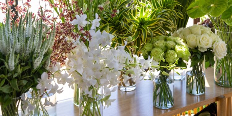 Cooperativa de Holambra espera aumento de 12% nas vendas do Dia das Mães