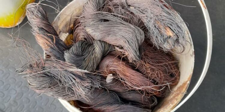 Força-tarefa apreende drogas e fios de cobre no Campos Elíseos