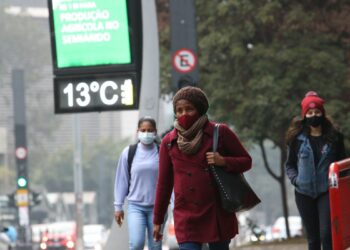 Pedestres na Avenida Paulista durante frente fria que derrubou a temperatura na Capital no início deste mês: primeiro episódio da friaca anual ocorreu nos dias 4 e 5 de maio Foto: Rovena Rosa/Agência Brasil