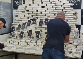 A droga pode ser usada também para fabricação de crack e cocaína. Foto: Polícia Civil/Divulgação