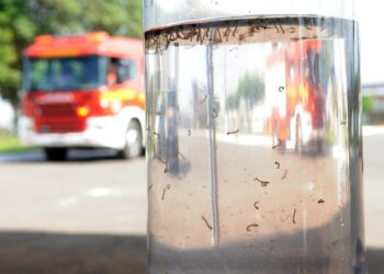 De 1º de janeiro até 30 de maio, uma morte por dengue foi confirmada em Campinas