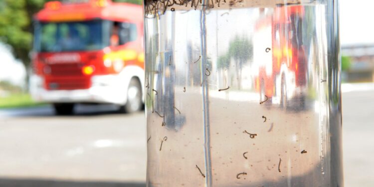 Jaguariúna apresenta mais de 2 mil casos  de dengue. Foto: Arquivo
