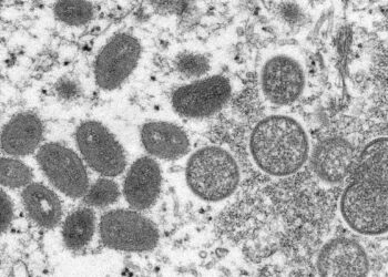 A varíola dos macacos é uma doença causada por vírus. Foto: Divulgação