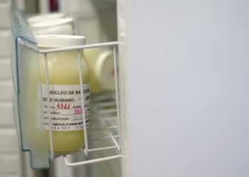 Durante uma semana, paciente ingeriu leite materno de uma doadora vacinada contra a Covid. Foto: Flickr/Divulgação
