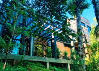 Uma guest house apostou na aquisição de contêineres para transformá-los em luxuosos quartos em meio à natureza. Fotos: Jéssica Aquino/Divulgação