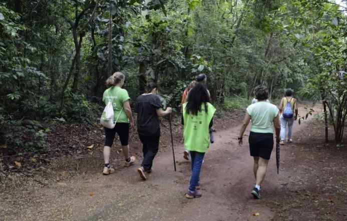 Inscrição para voluntariado na Mata de Santa Genebra vai até sexta-feira