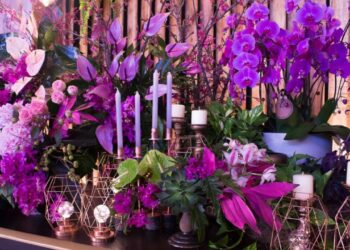 Fonte de inspiração para profissionais do setor e para os amantes de flores, plantas e decoração, Enflor & Garden Fair são retomadas - Foto: Divulgação/Tais Puntel