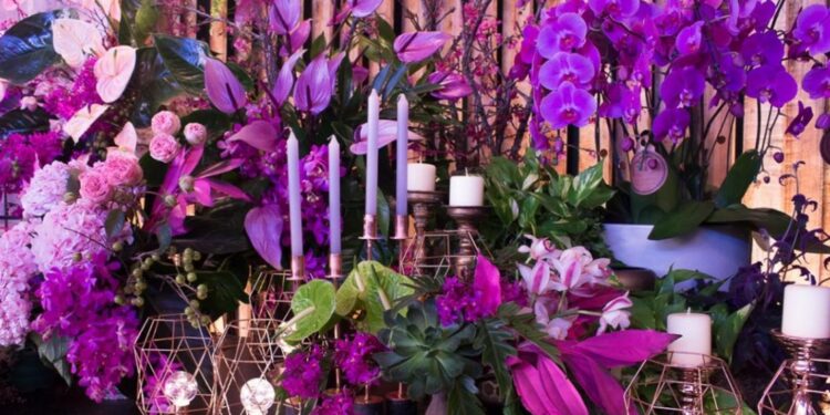 No mercado de flores, Enflor & Garden Fair estão de volta