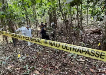 Local onde os corpos de Bruno e Dom estavam enterrados: lancha também foi encontrada - Foto: PF/Amazonas/Reprodução