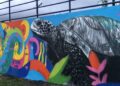 O grafite trará mais cor a Campinas durante o mês de junho. Fotos: Divulgação
