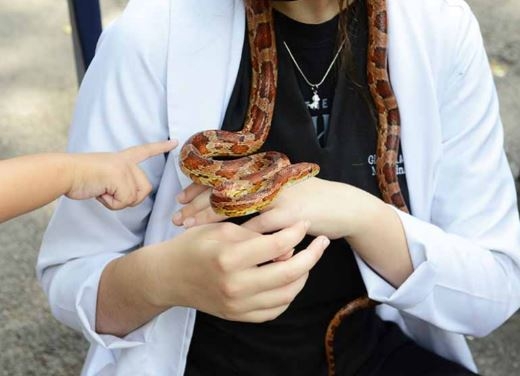 Bosque Interativo terá edição especial no próximo sábado (11)