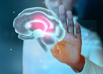 AVC e doenças cardiovasculares voltam a ser a principal causa de morte