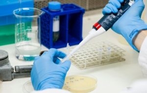 Cientistas do país se preparam para testagem em escala da varíola dos macacos