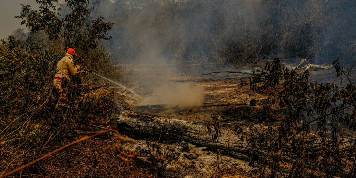São mais de 121 mil hectares queimados no Pantanal sul-matogrossense neste ano. Foto: Secom/MS