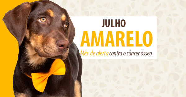 Pet: Julho Amarelo é mês de combate ao câncer ósseo