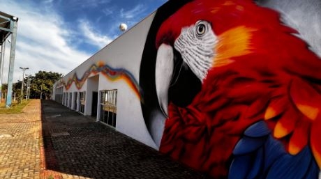 Projeto revitaliza CEU Estação Cidadania com 215 metros quadrados de pinturas