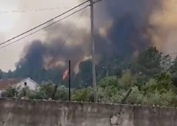 Incêndio avança no vilarejo de Freixianda, no município de Ourém, em Portugal. Foto: Reprodução/Twitter
