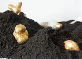 Mostra Terra Rasgada tem início no Espaço Marco do Valle em Campinas