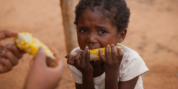 A quantidade de pessoas afetadas pela fome em todo o mundo aumentou em 150 milhões desde o início da pandemia. Foto: WFP/Sitraka Niaina Raharinaiv/ONU