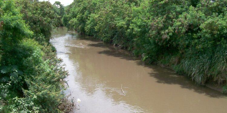 Segundo dados do Consórcio PCJ, no mês de junho as chuvas ficaram 59,8% abaixo da média histórica em toda a bacia hidrográfica. Foto: Divulgação