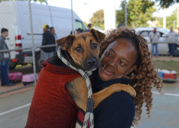 Programa realiza 800 castrações de cães e gatos na região do Nova Europa
