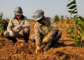 Mineração anunciará avanços nas práticas ESG no Brasil