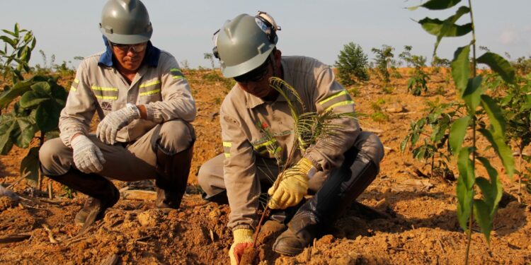 Mineração anunciará avanços nas práticas ESG no Brasil