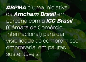 Amcham e ICC Brasil lançam mobilização empresarial pelo meio ambiente