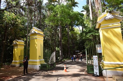 Edição do Bosque Interativo neste sábado oferece interação com animais