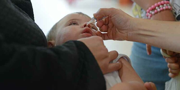 Responsáveis devem levar crianças e jovens para vacinação, modo seguro de evitar várias doenças Foto: Eduardo Leite/PMC/Arquivo/Divulgação