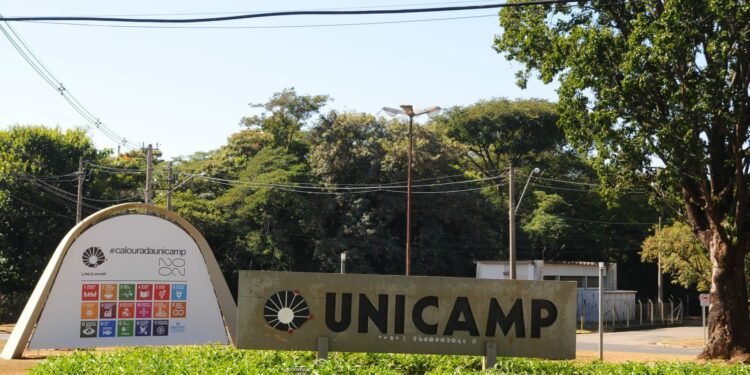 Campus da Unicamp: estudantes aprovados deverão realizar a matrícula não presencial nesta quarta na página da Comvest - 
Foto: Leandro Ferreira/Hora Campinas