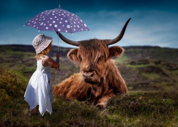 ONG internacional lança nova identidade e passa a atuar como Generation Veg