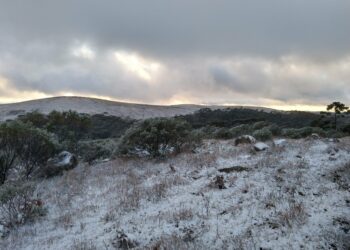 Primeira manhã de Primavera tem neve em São Joaquim