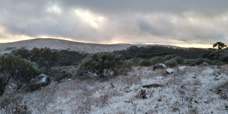Primeira manhã de Primavera tem neve em São Joaquim