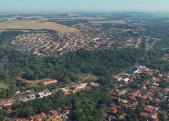 Levantamento de 2020 aponta que a área vegetal em Campinas corresponde a 14,4% do território da cidade - Foto: Reprodução