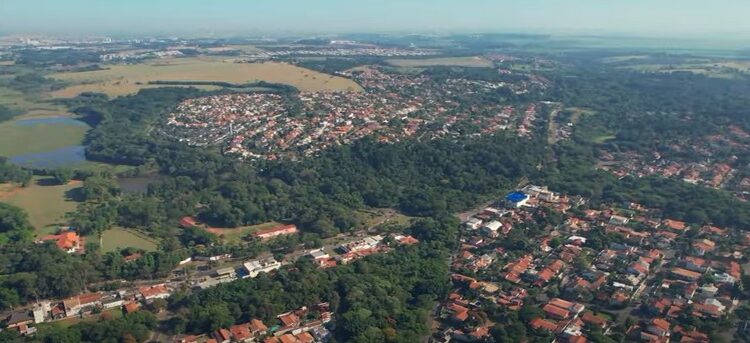 Levantamento de 2020 aponta que a área vegetal em Campinas corresponde a 14,4% do território da cidade - Foto: Reprodução