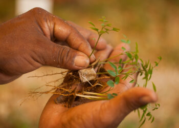 Mineração divulga resultados e novas metas de boas práticas em ESG