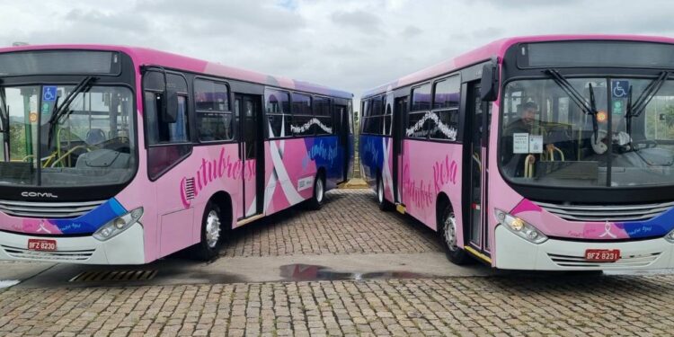 Ruas de Campinas ganham dez ônibus adesivados para lembrar dos cuidados com a saúde da mulher e do homem - Foto: Divulgação