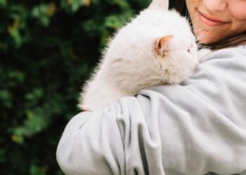 Mercado pet cresce 27% e empresas investem em alta tecnologia