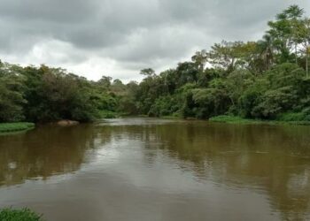 As águas do Rio Atibaia. Foto: Arquivo