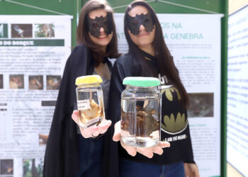 Exposição a exposição “Animais Fantásticos” trata dos morcegos. Foto: Fernanda Sunega/PMC
