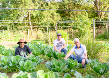 Rede de agricultores e consumidores fortalece a agricultura ecológica local - Foto: Divulgação PMC