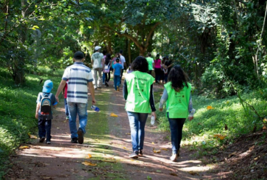 Mata de Santa Genebra abre inscrição para interessado em trabalho voluntário