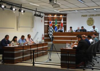 O Projeto de Lei foi protocolado na Câmara Municipal de Vinhedo no dia 2 de junho Foto: Divulgação
