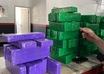 GM de Campinas apreende 65 kg de drogas em patrulhamento na rodoviária