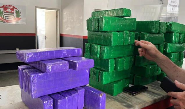 GM de Campinas apreende 65 kg de drogas em patrulhamento na rodoviária