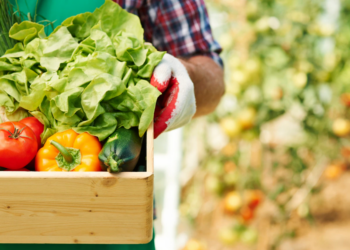 Agricultura familiar terá novo cadastro a partir desta terça