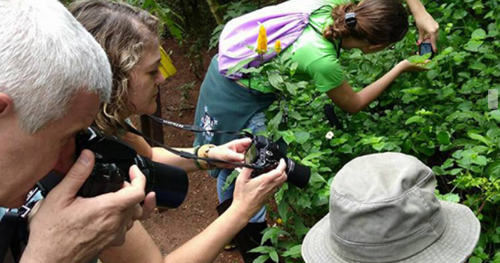 Mata de Santa Genebra abre inscrições para Fotógrafos da Natureza